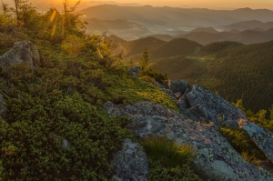 Carpathian mountains, Ukraine