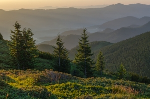 Carpathian mountains, Ukraine