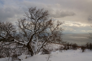 Crimean Winter. Snow
