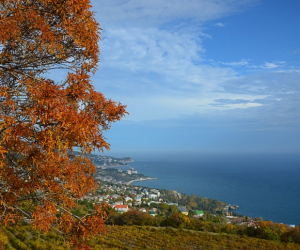 Fall colours