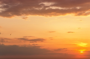 Kyiv sunsets