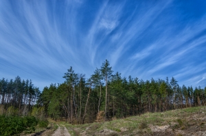 Ukraine Landscape