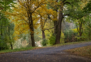 Ukraine Landscape