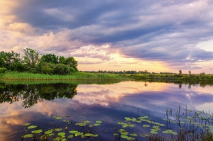 Ukraine Landscape