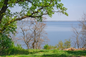 Ukraine Landscape